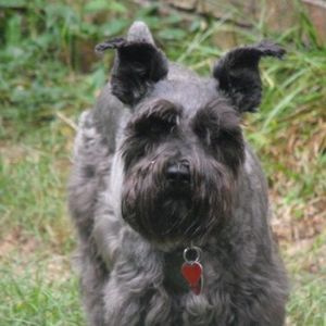 Meet your Posher, Sharon